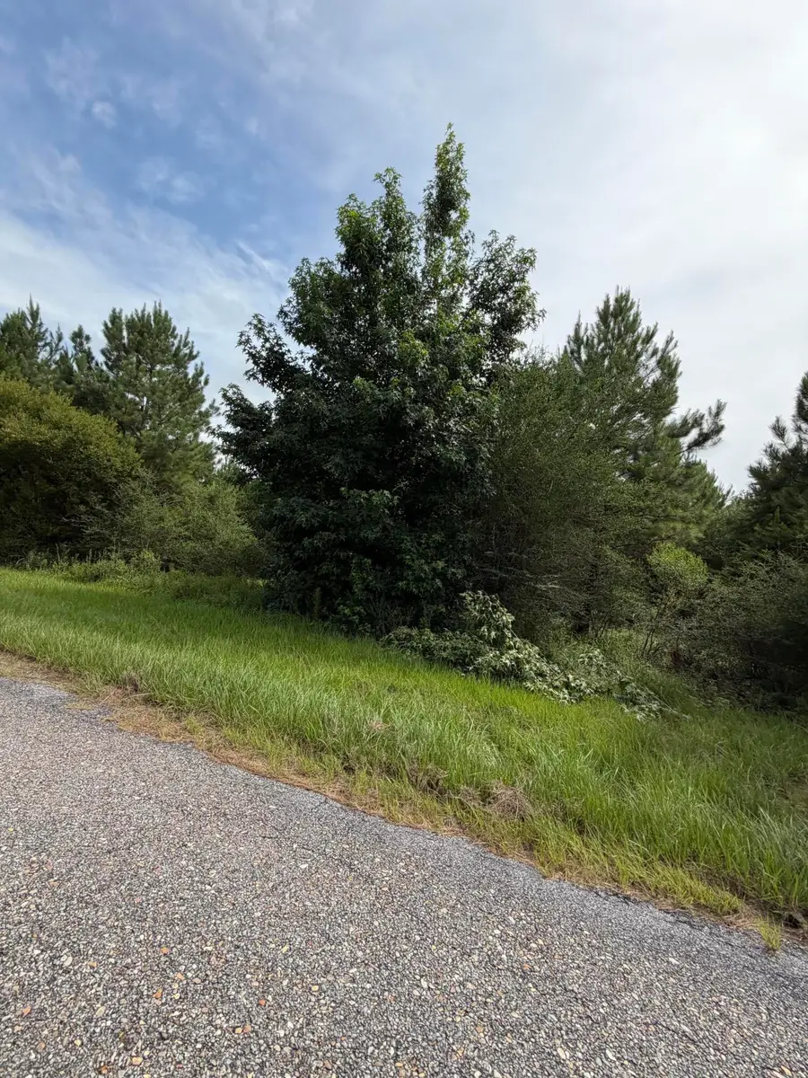 Parcel 5 R Thompson, Lumberton, MS 39455 - #2