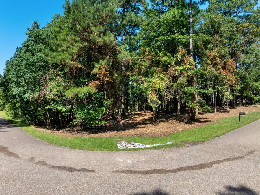 Lot 17 Tallulah Ridge, Hattiesburg, MS 39402 - #3