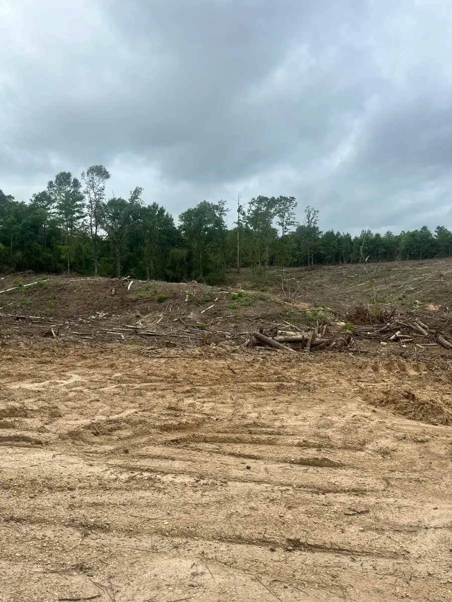 TBD North Ln., Columbia, MS 39429 - #3