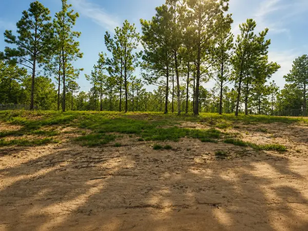 23027 Martin Luther King Dr., State Line, MS 39362