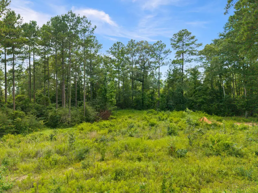 64 Cherry Laurel Loop, Hattiesburg, MS 39402 - #2