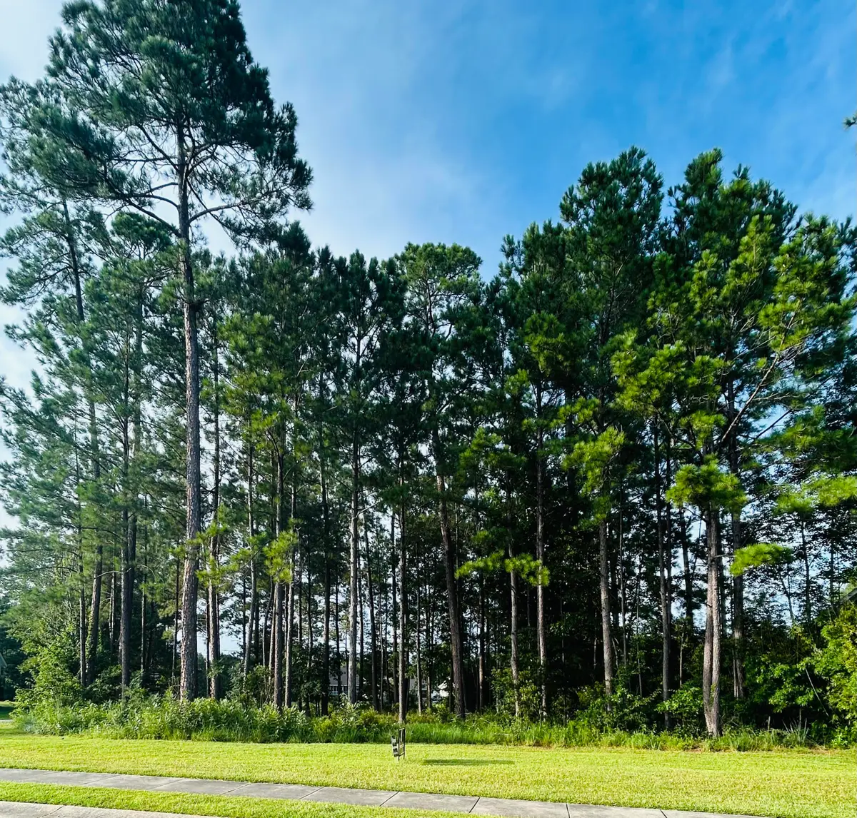 46 N Founders Way, Hattiesburg, MS 39401 - #1