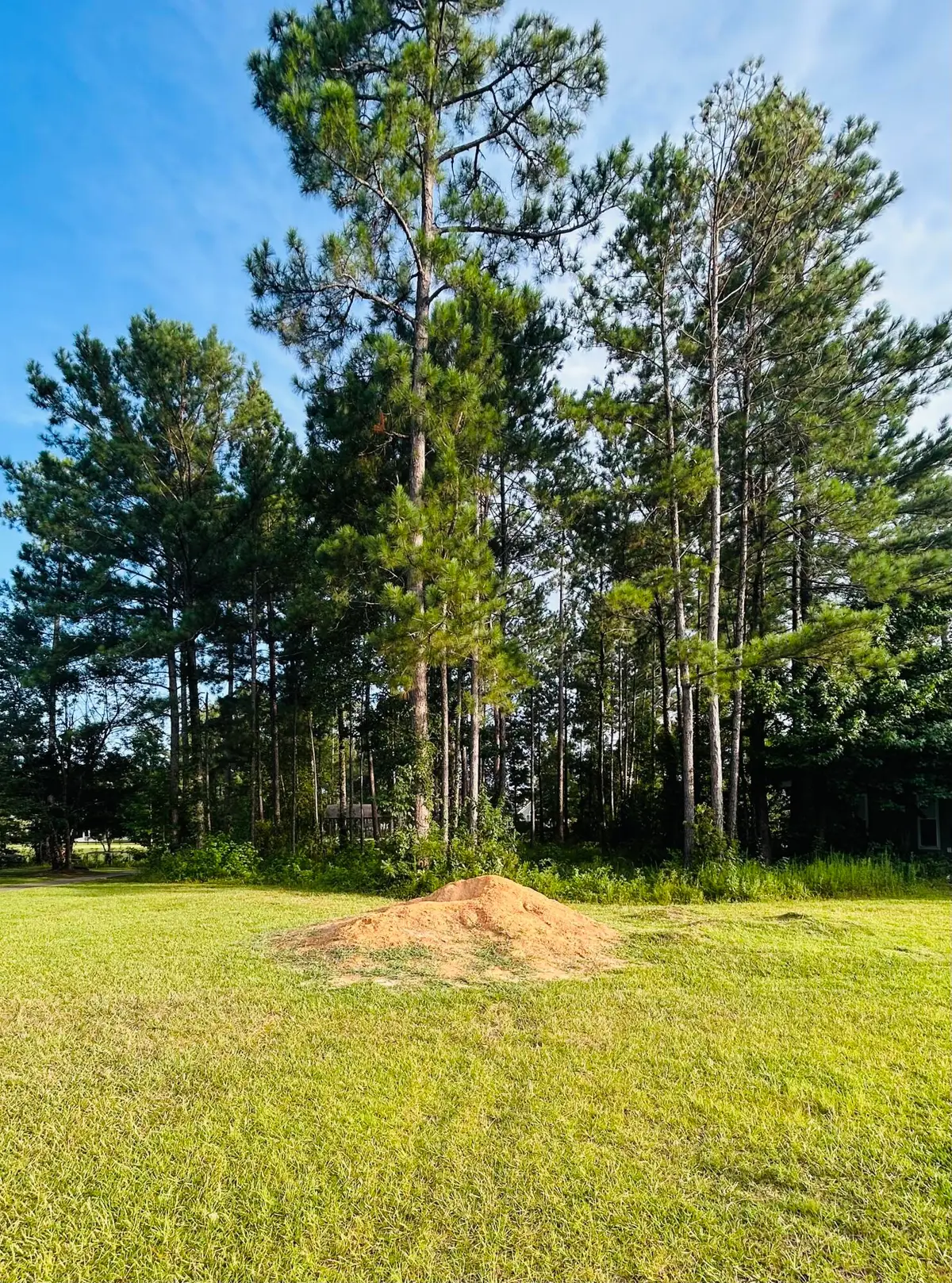 28 Vintage, Hattiesburg, MS 39401 - #1