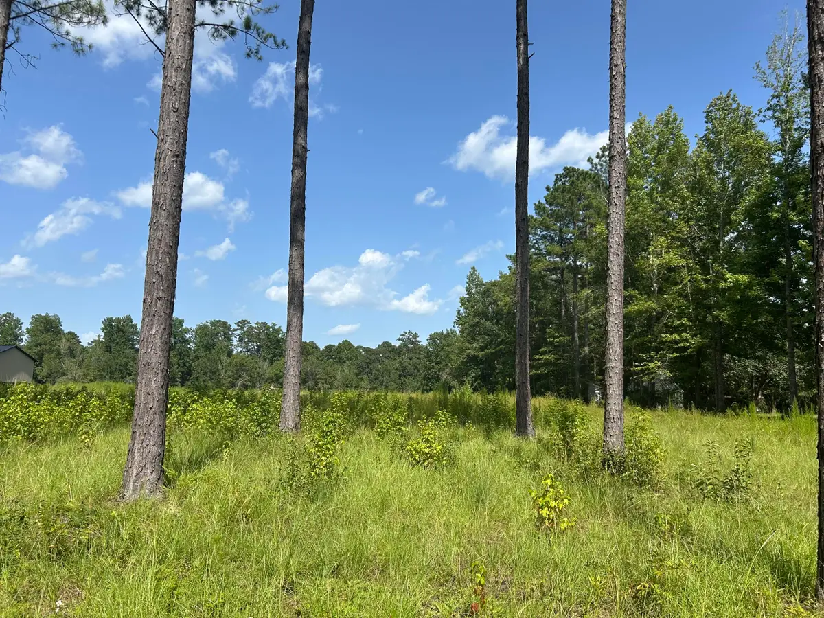 88 Pine Ridge, Columbia, MS 39429 - #1