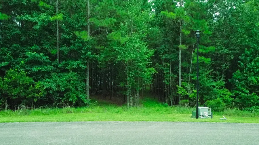 Lot 50 Red Canoe, Lumberton, MS 39455 - #3