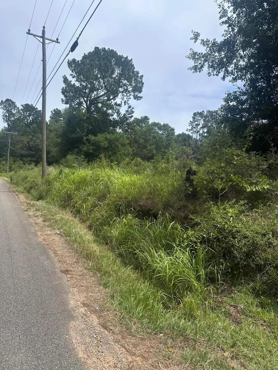 301 Ozona, Picayune, MS 39466 - #3