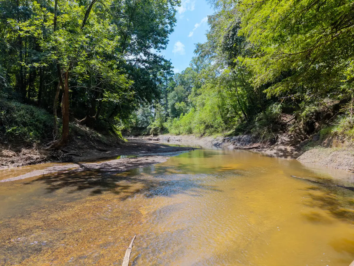 3.2 Acres Bahala Crk Old Hwy 27n, Monticello, MS 39654 - #1