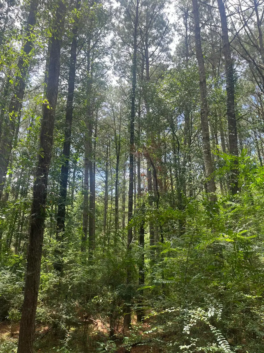 TBD Scr 1, Taylorsville, MS 39168 - #3
