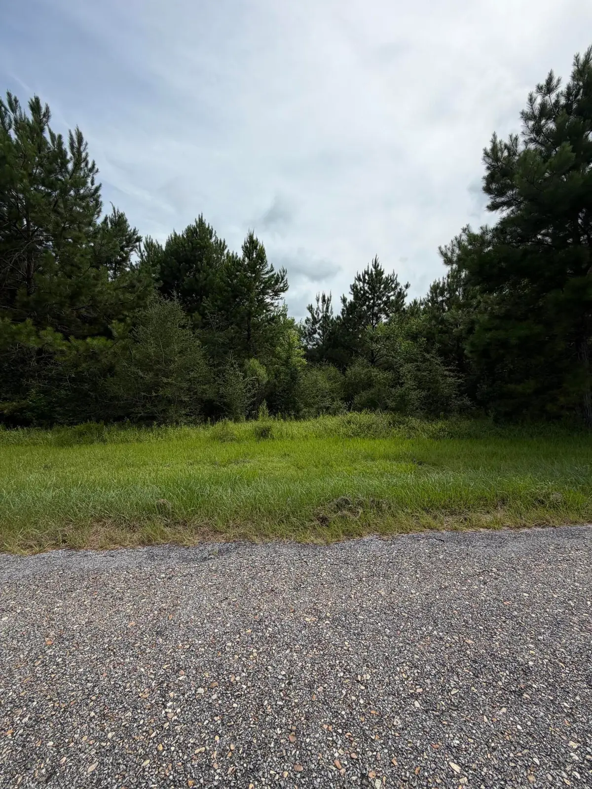 0 R Thompson, Lumberton, MS 39455 - #1