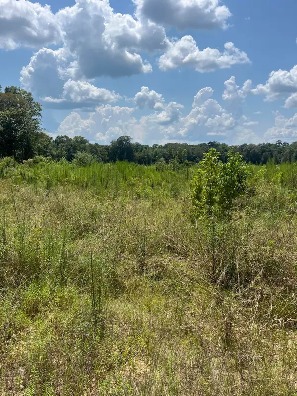 TBD Jack Loftin, Oak Vale, MS 39656