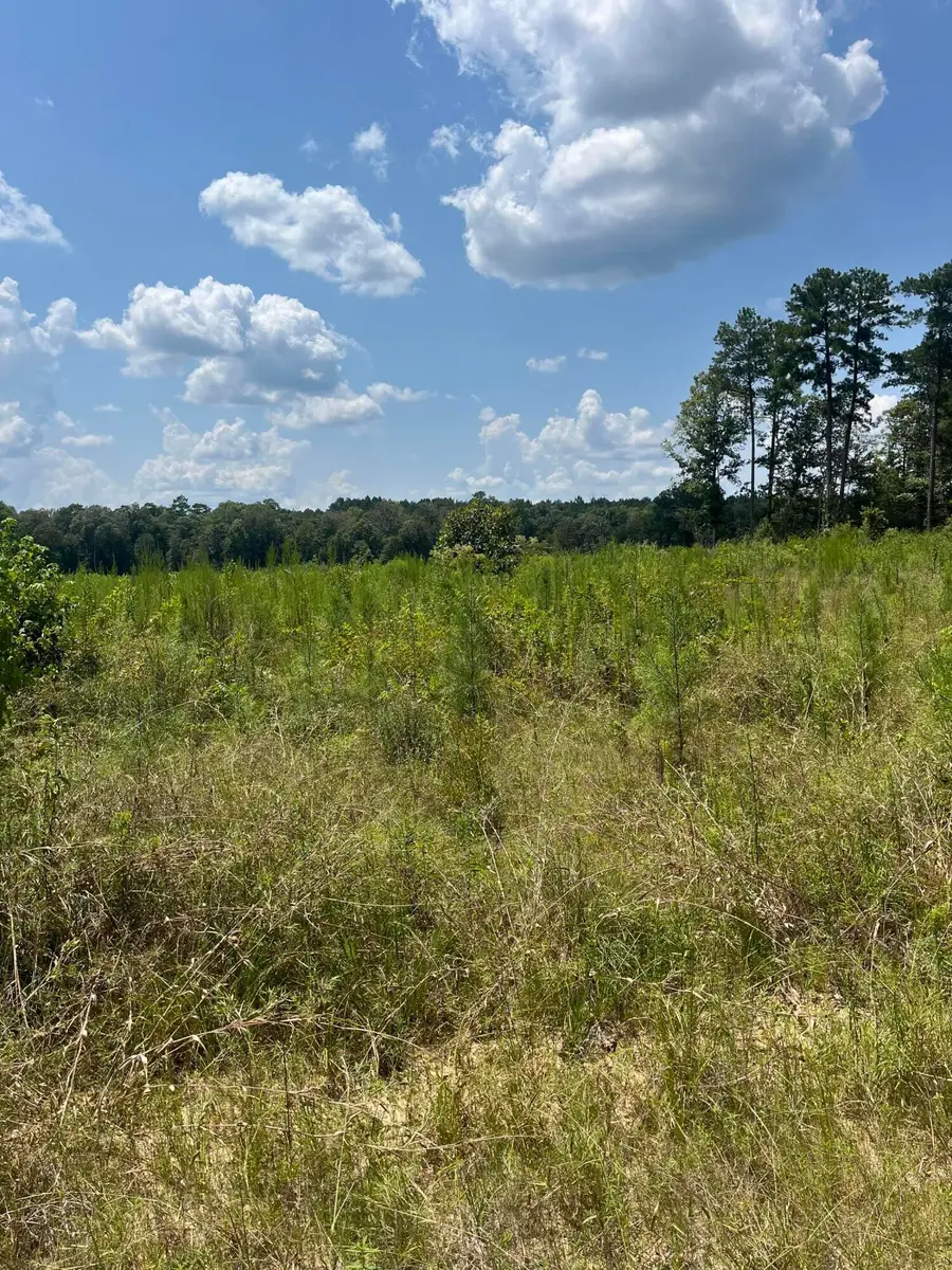 TBD Jack Loftin, Oak Vale, MS 39656 - #2