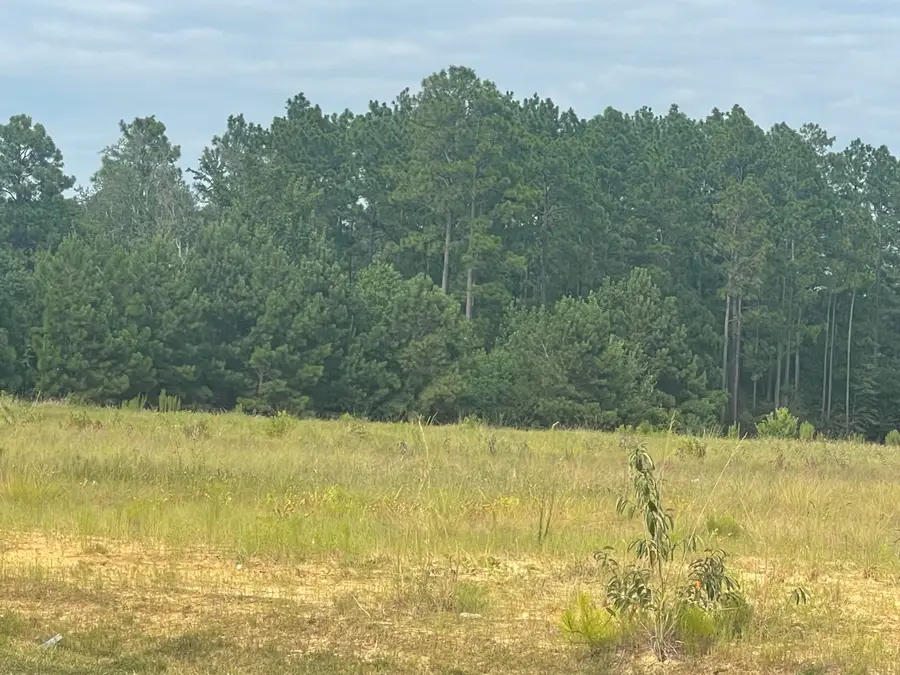 7 ac +- Evelyn Gandy Parkway, Petal, MS 39465 - #2
