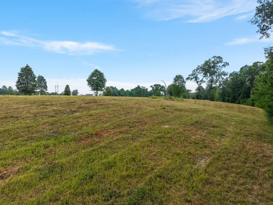 15 Acres Fowler Cutoff, Purvis, MS 39475 - #3