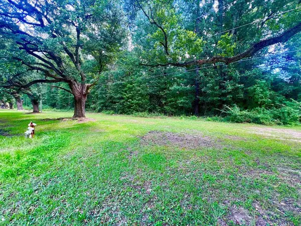 0 Ellisville Blvd., Laurel, MS 39440