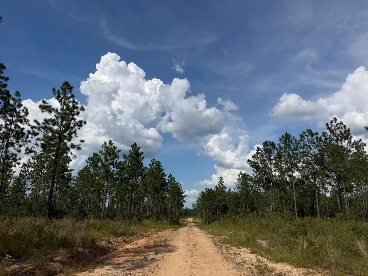 #5 Lawler Rd., Lumberton, MS 39455 - #1