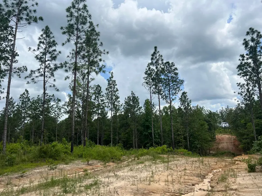 #5 Lawler Rd., Lumberton, MS 39455 - #2