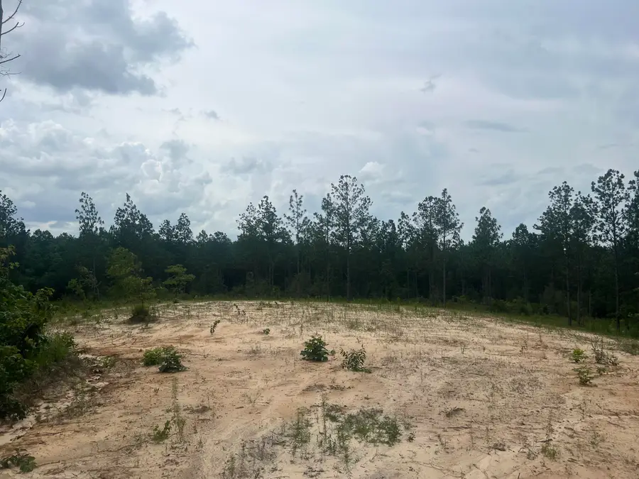 #5 Lawler Rd., Lumberton, MS 39455 - #3
