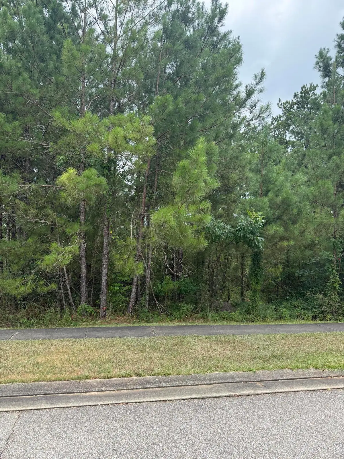 42 S Of Fields, Hattiesburg, MS 39402 - #1