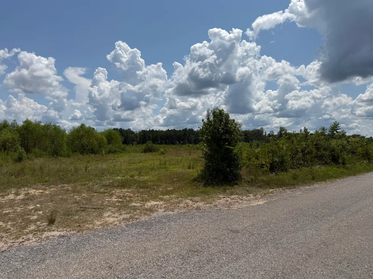 0 County Road 126, Quitman, MS 39355 - #1