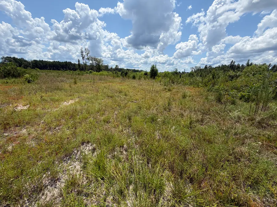 0 County Road 126, Quitman, MS 39355 - #3