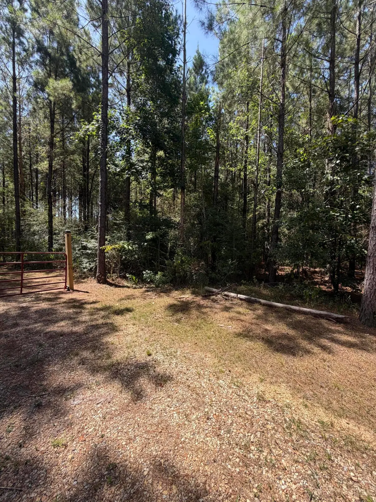 111 Progress Trail, Sumrall, MS 39482 - #1