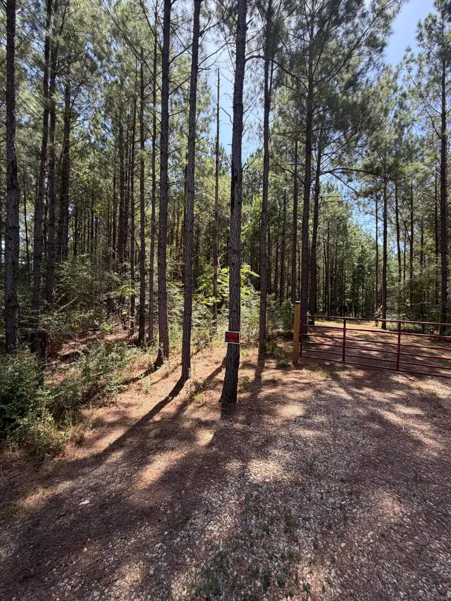 111 Progress Trail, Sumrall, MS 39482 - #2
