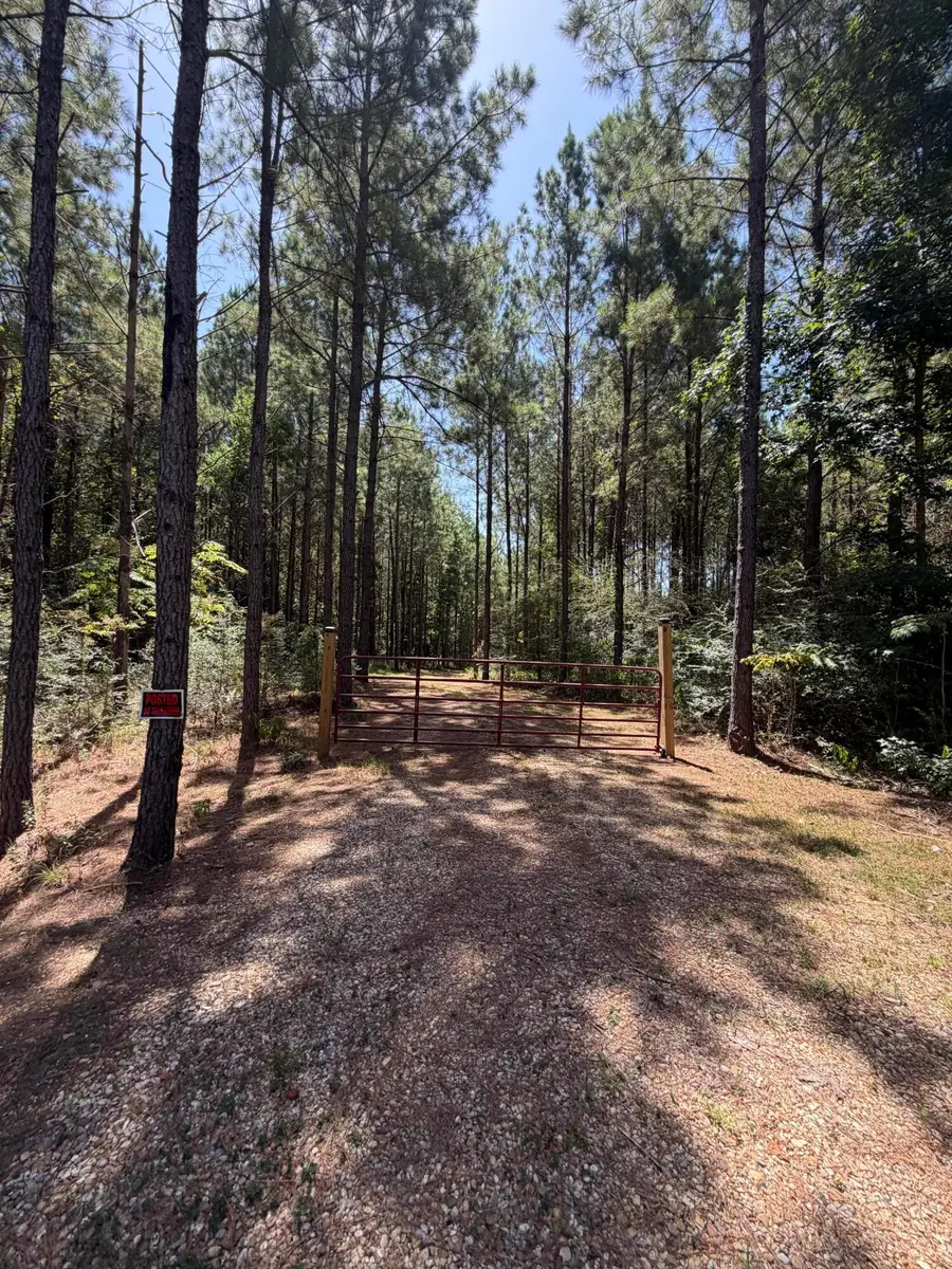111 Progress Trail, Sumrall, MS 39482 - #3