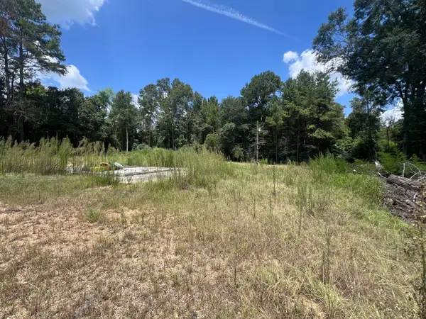 331 Goss Bunker Hill, Columbia, MS 39429