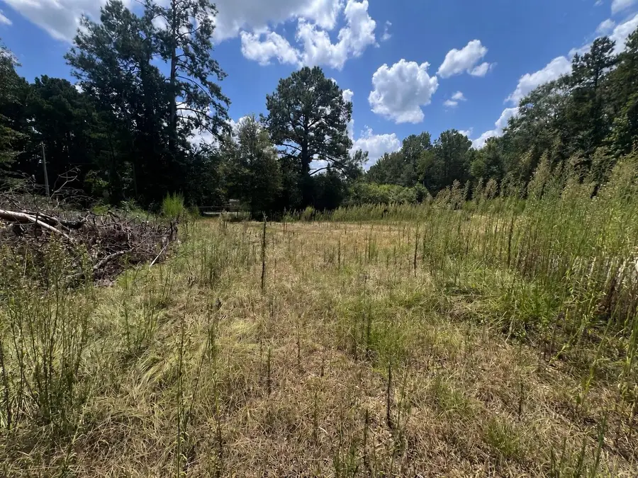 331 Goss Bunker Hill, Columbia, MS 39429 - #3