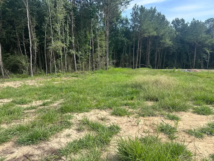 Lot 7 Lainey Ln., Hattiesburg, MS 39402 - #2