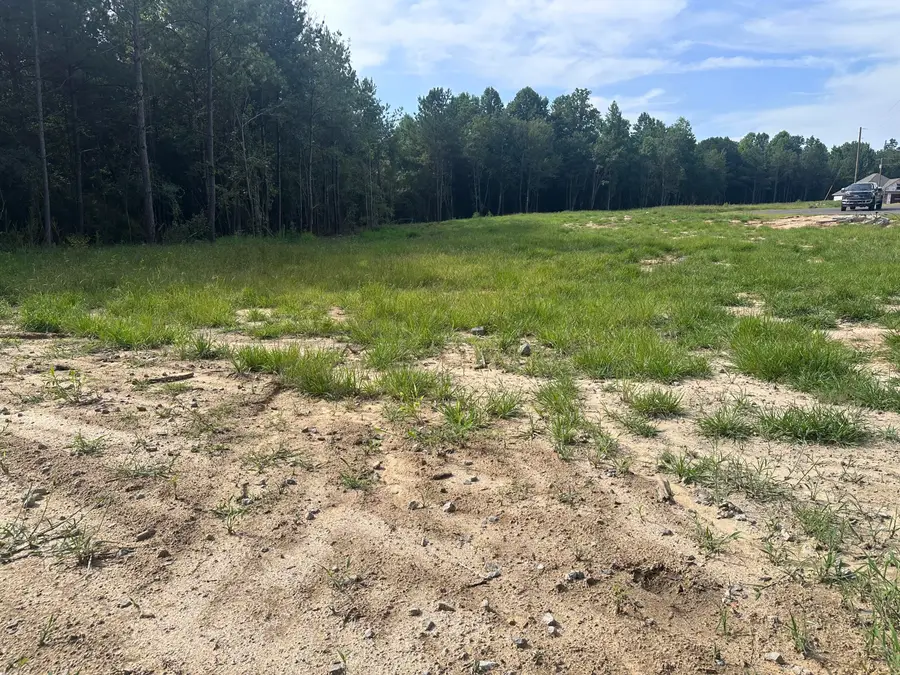 Lot 8 Lainey Ln., Hattiesburg, MS 39402 - #2
