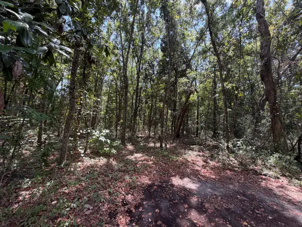 0 Brumbaugh Rd., Ocean Springs, MS 39564