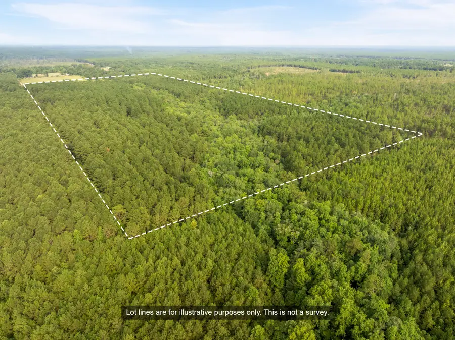 80+/-AC Arthur Lowe Rd., Lumberton, MS 39455 - #2