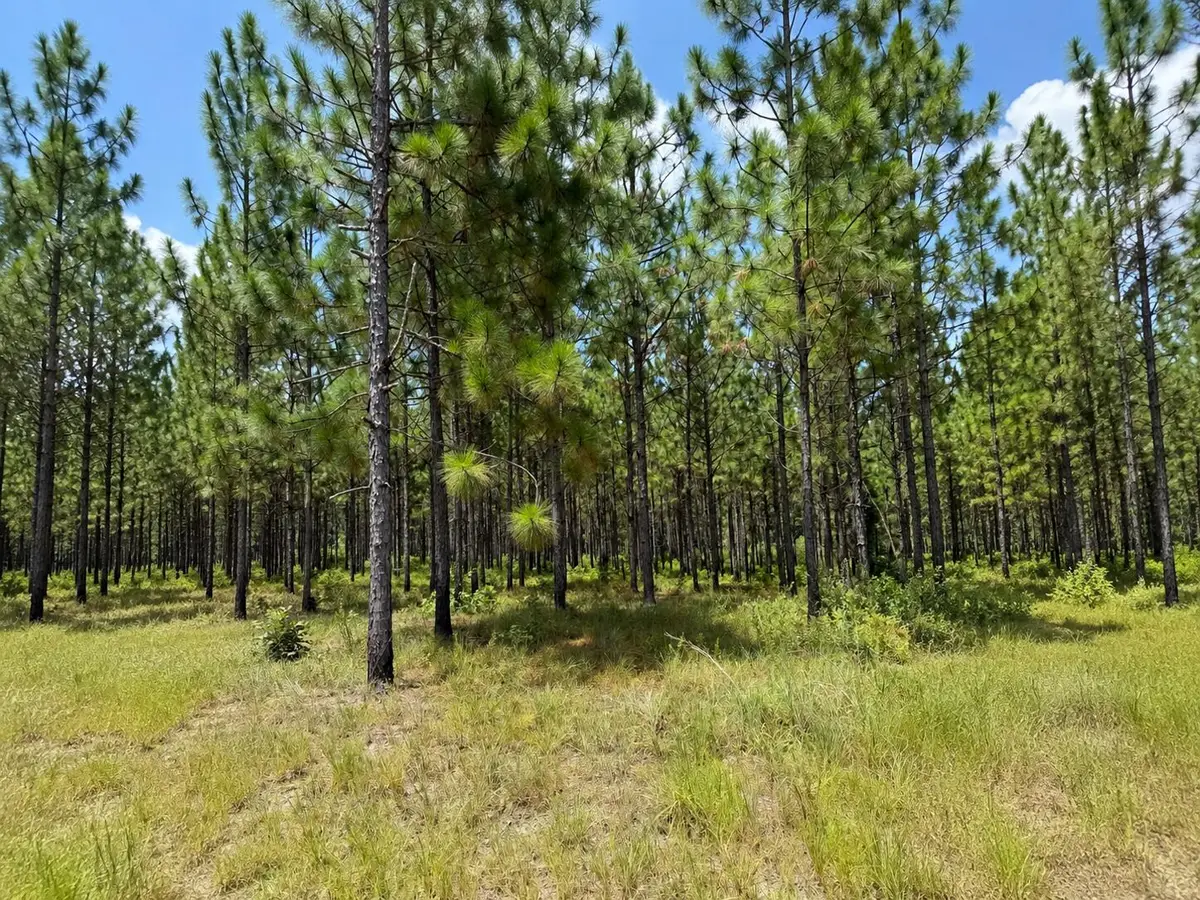 Parcel 4 Miller Farm Rd., Lumberton, MS 39455 - #1