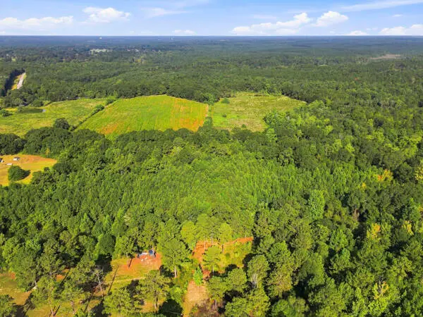 2 Mol Ac Hwy 13, Lumberton, MS 39455 - #3