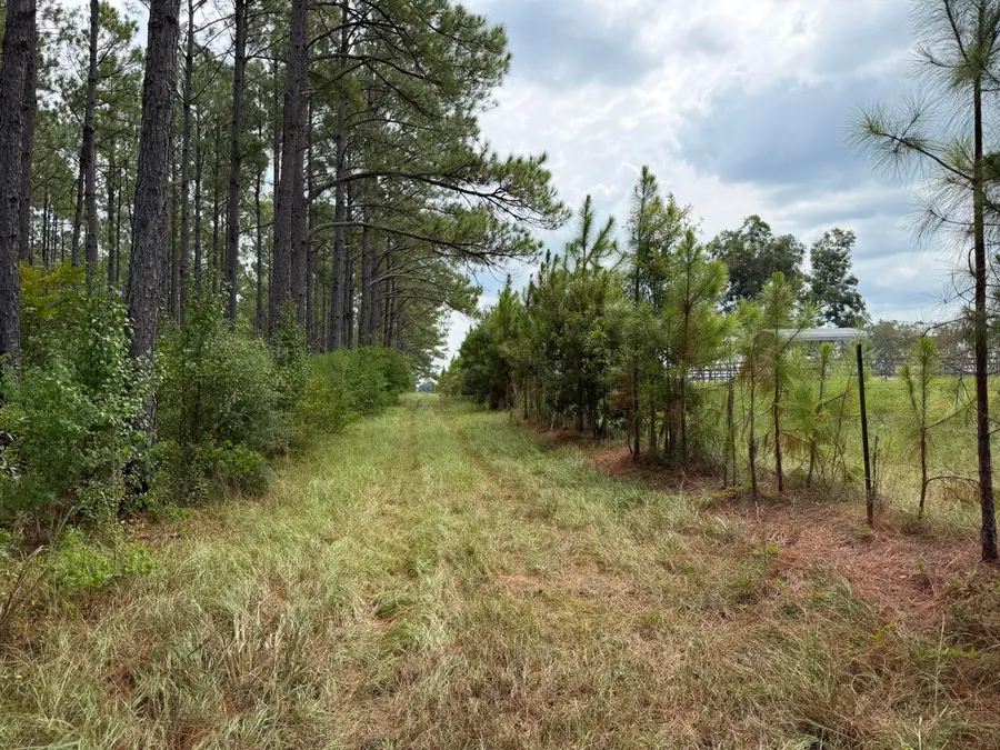 Parcel 10 Yawn School, Lumberton, MS 39455 - #2
