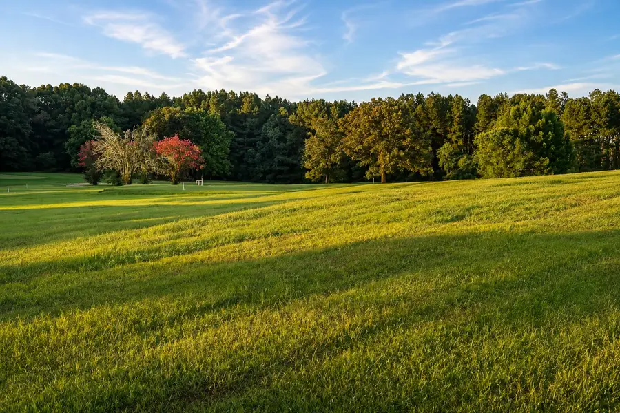00 Oakhill Blvd., Collins, MS 39428 - #2