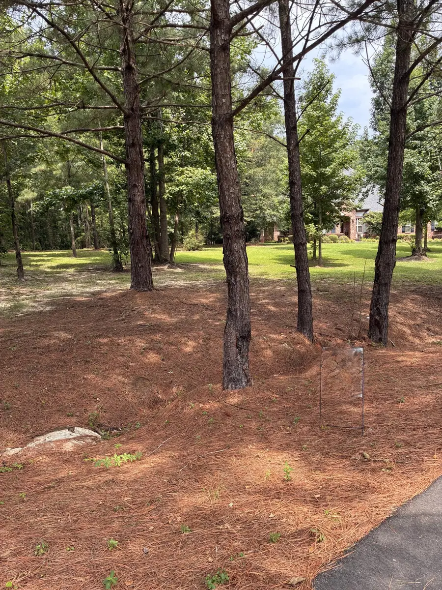 Lot 104 Buckskin Dr., Hattiesburg, MS 39402 - #2