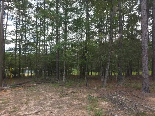 5526 W 4th St., Hattiesburg, MS 39402