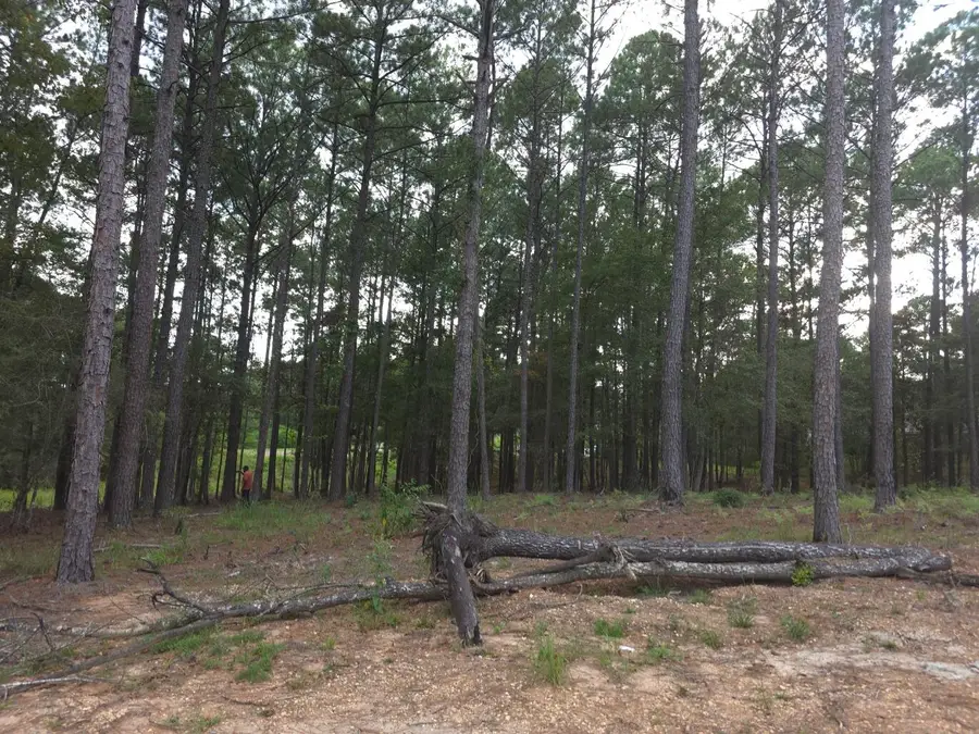 5526 W 4th St., Hattiesburg, MS 39402 - #2