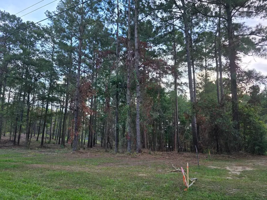 5526 W 4th St., Hattiesburg, MS 39402 - #2