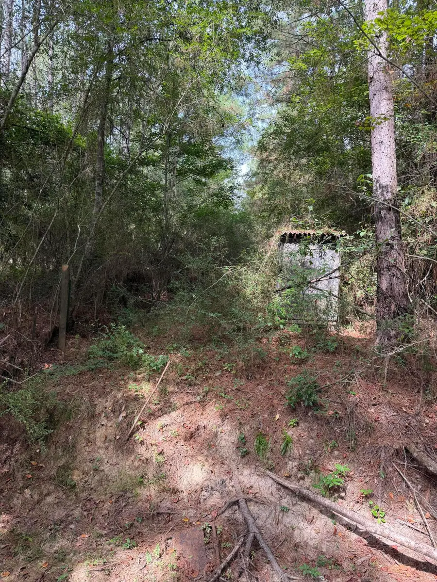 12.50 Acres Lott Town, Hattiesburg, MS 39402 - #2