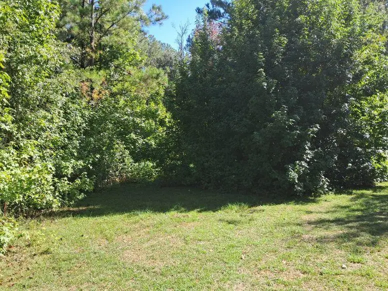 351 Niemeyer Ln., Lumberton, MS 39455 - #1