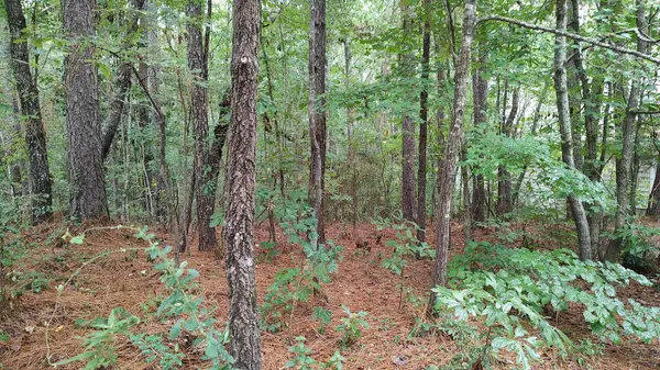 5 Stoneridge, Hattiesburg, MS 39402