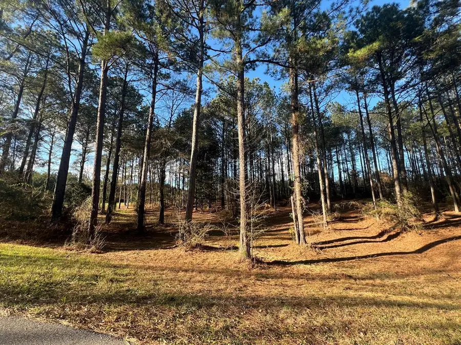 00 Timber Ridge Drive, Laurel, MS 39443 - #2