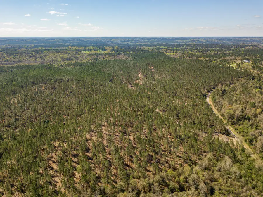 Lot 6 Timothy Rd., Ellisville, MS 39437 - #3