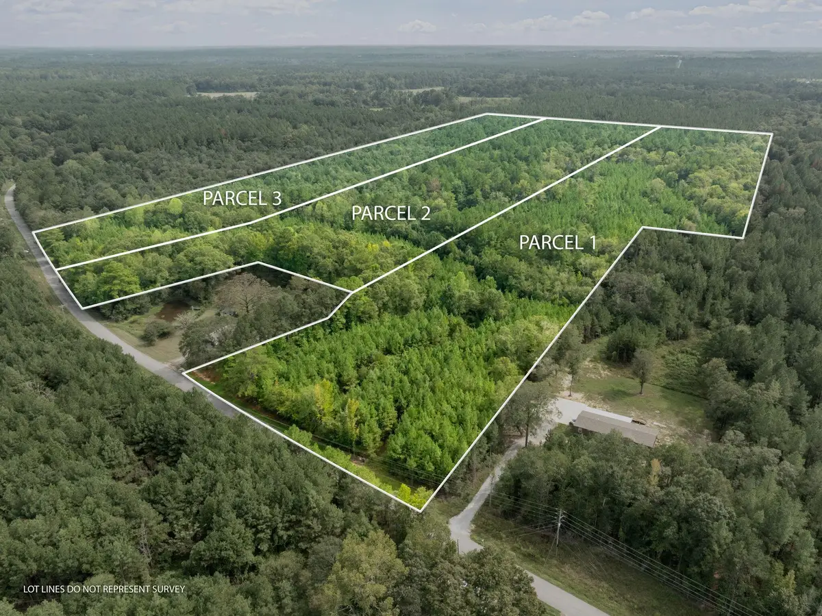 000 Davis Rd., Purvis, MS 39475 - #1