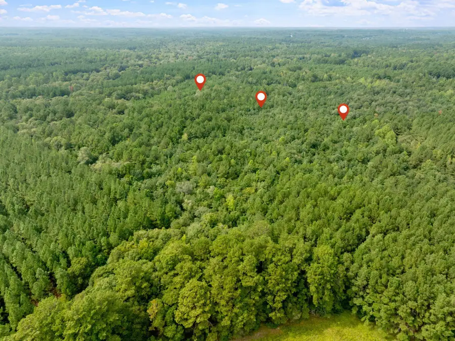 000 Davis Rd., Purvis, MS 39475 - #2
