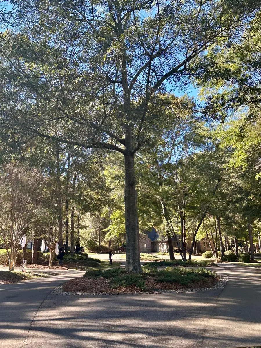 0A Buck Ct., Hattiesburg, MS 39402 - #3