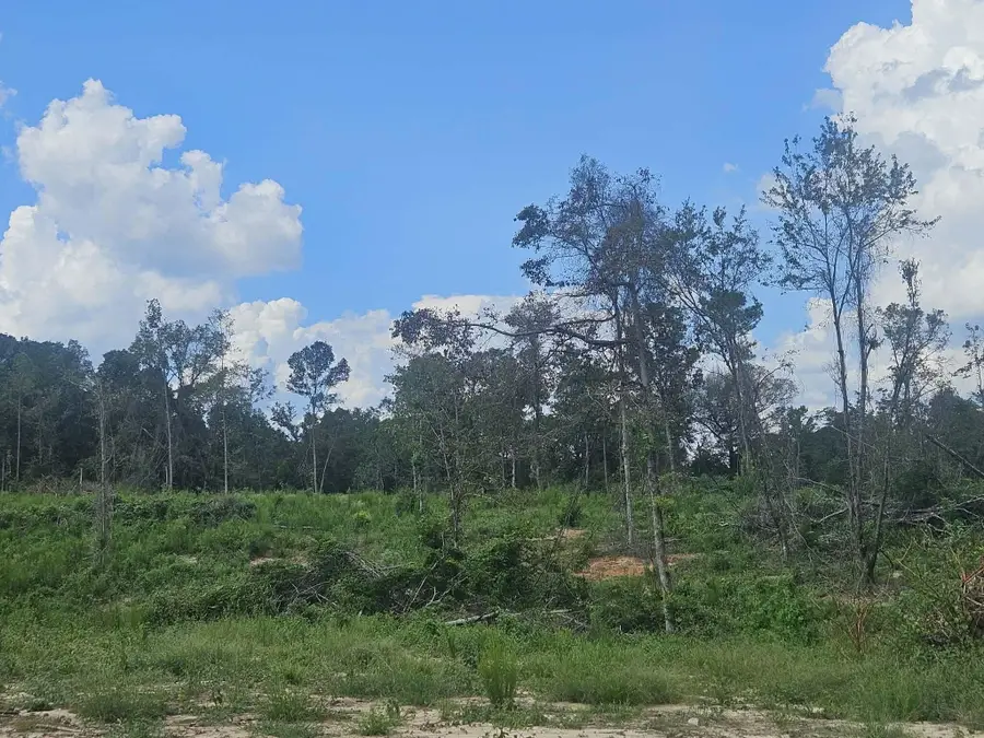34 Ac Longview Dr, Ellisville, MS 39437 - #2